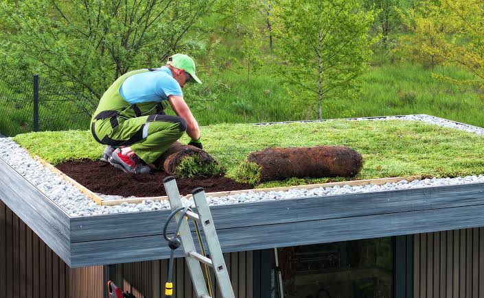 Best Sustainable Roofs United States Architectural Analysis Guide